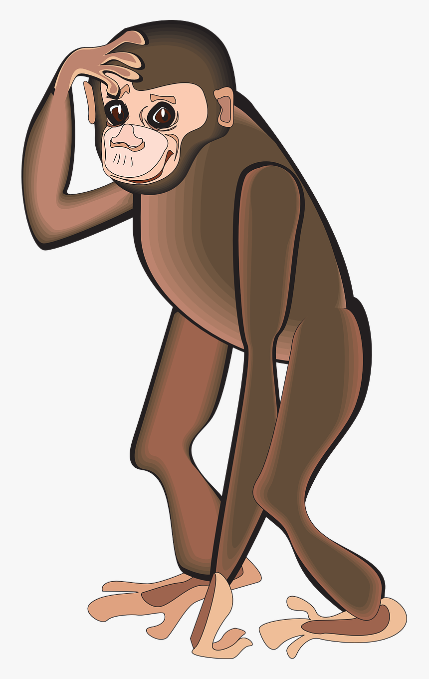 Chimpanzee Clipart Png, Transparent Png, Free Download