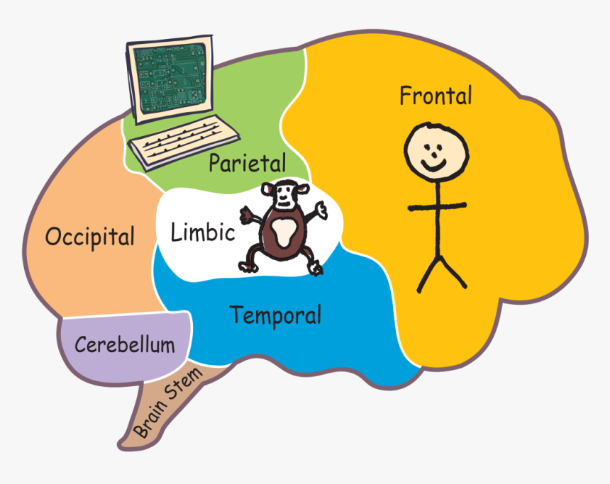 Chimp Paradox Brain, HD Png Download, Free Download