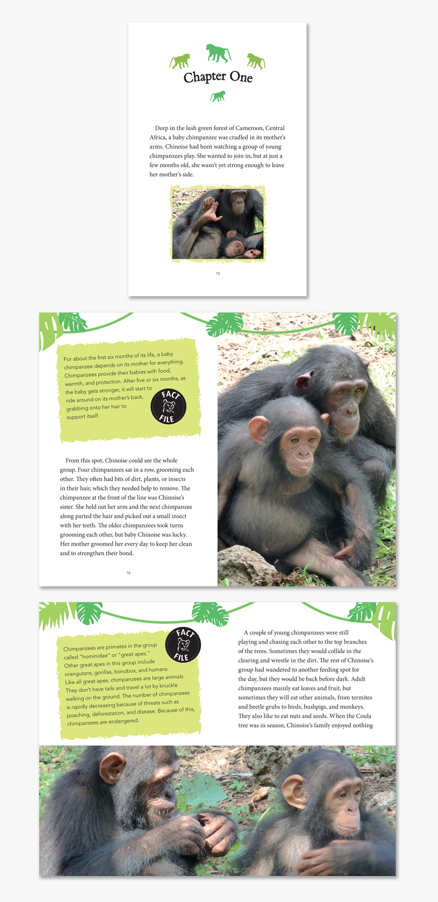 Common Chimpanzee, HD Png Download, Free Download