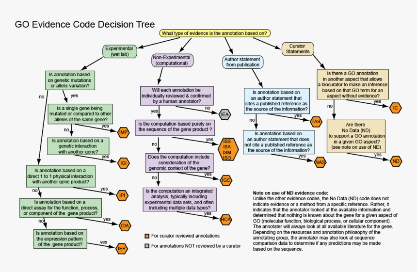 Annotation processing. Древо принятия решений. Дерево решений менеджмент. Дерево принятия решения о покупке. Метод принятия решений дерево решений.