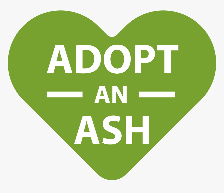 Adopt An Ash - Heart, HD Png Download, Free Download