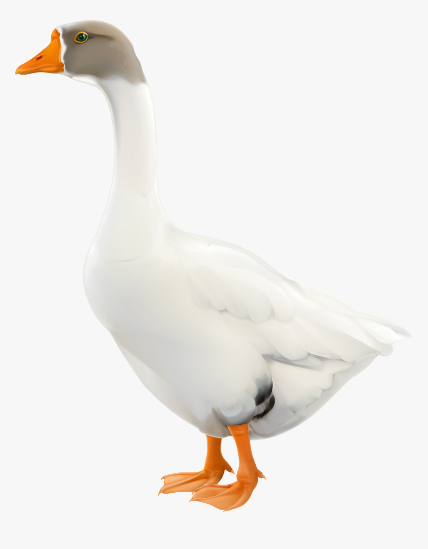 Goose Png Clip Art Image - Duck, Transparent Png, Free Download