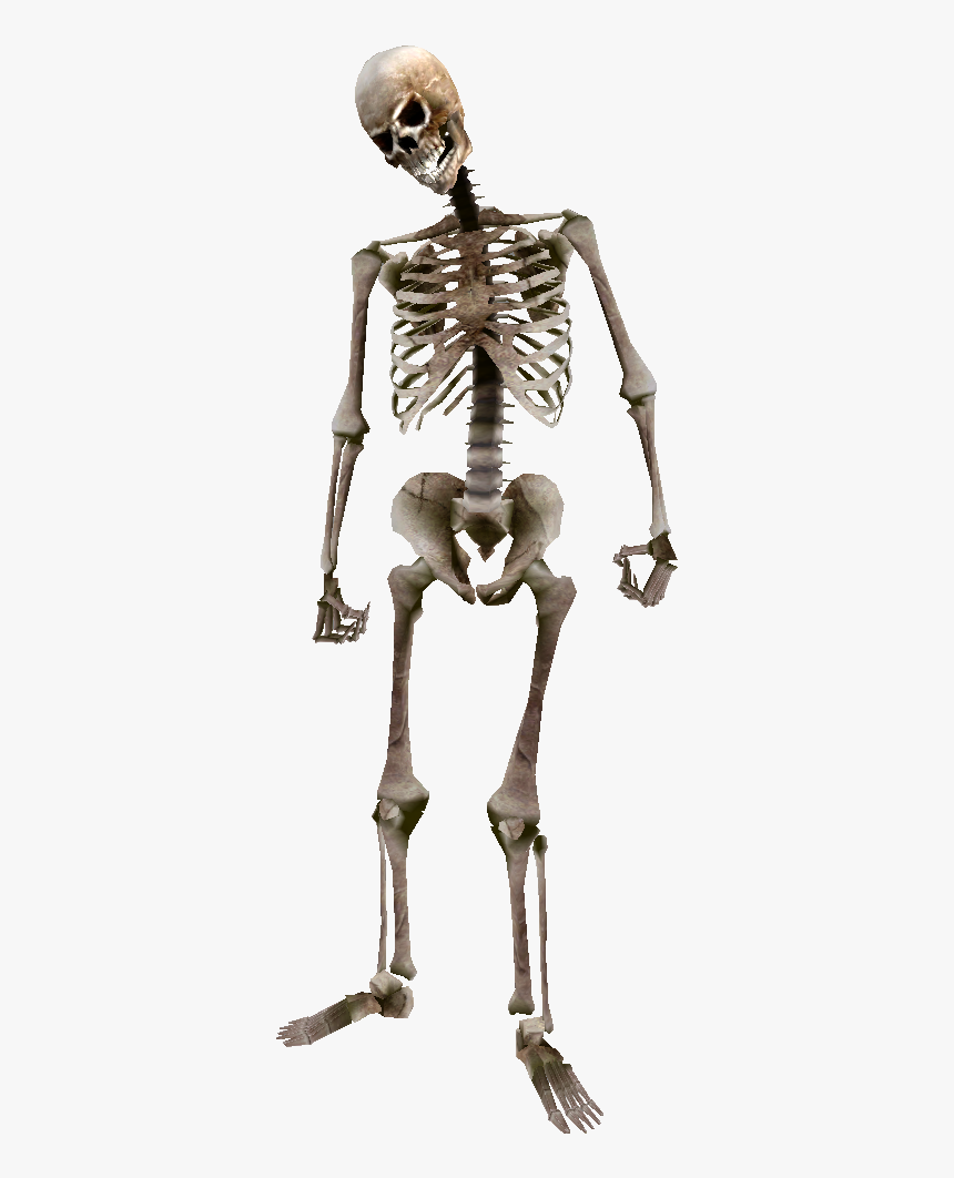 Beast Oblivion Skeleton Png - Skeleton Png, Transparent Png, Free Download