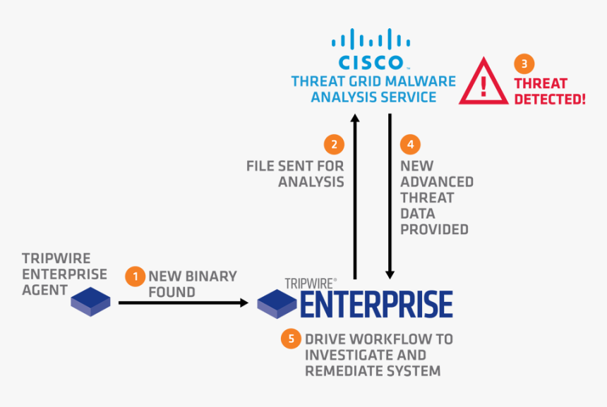 Cisco Amp Threat Grid, HD Png Download, Free Download