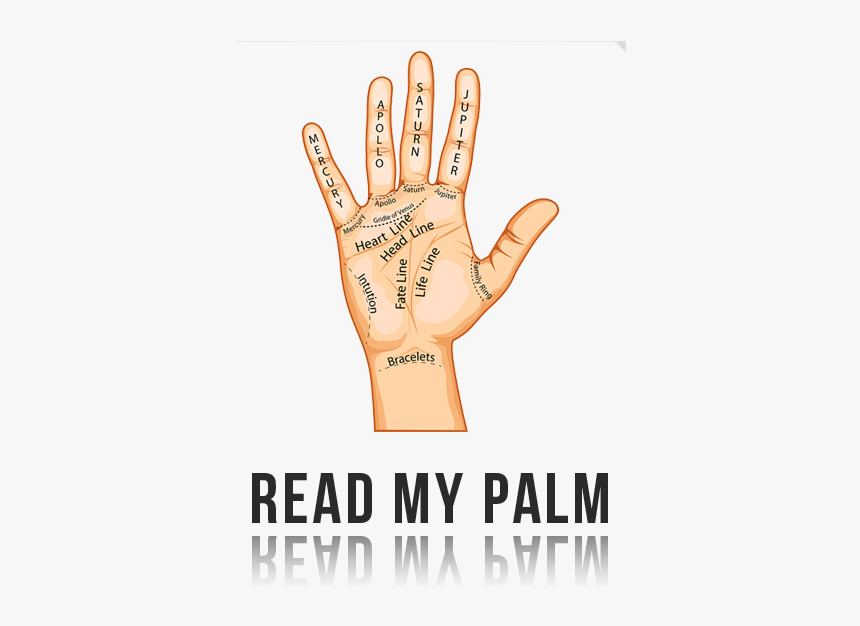 Palm reading. The reading Palms.