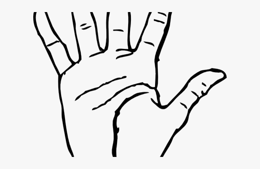 Transparent Wrist Clipart - Hand Creases, HD Png Download, Free Download