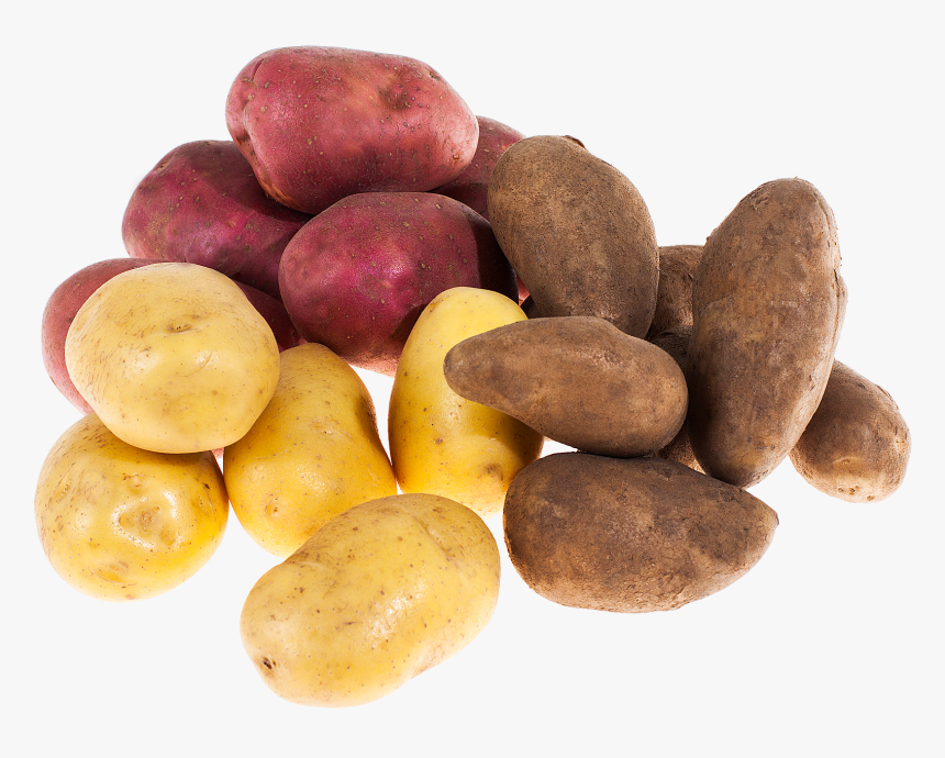 Potato Salad - Russet Burbank Potato, HD Png Download, Free Download