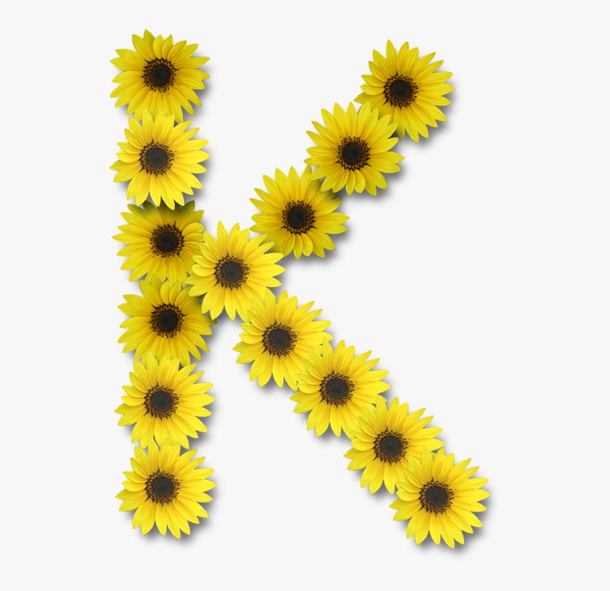 Sunflower Letter K, HD Png Download, Free Download