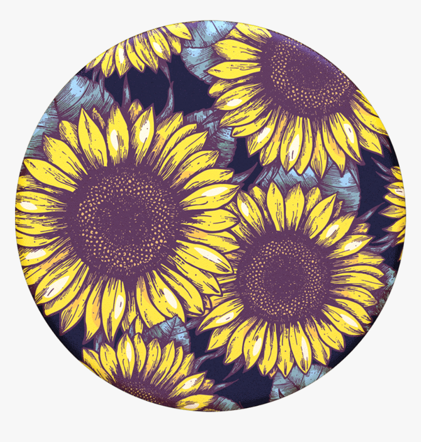 Sunflower Popsocket, HD Png Download, Free Download