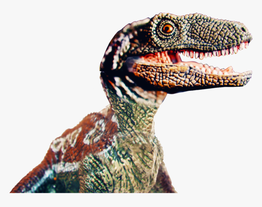 In Our Campaign We Show How Old Spice Will Allow You - Velociraptor, HD Png Download, Free Download