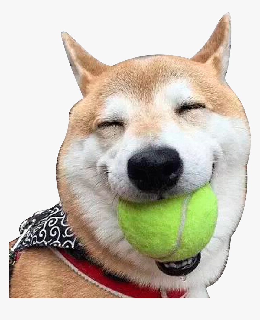 Doge Face Png - Dog Laughing Png, Transparent Png, Free Download