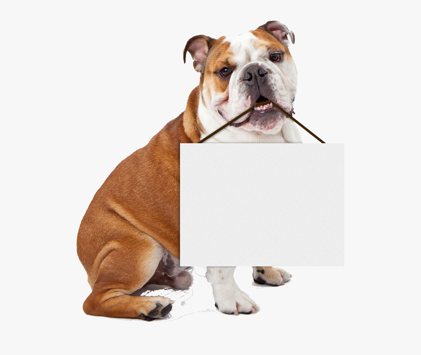 Happy Easter English Bulldog, HD Png Download, Free Download