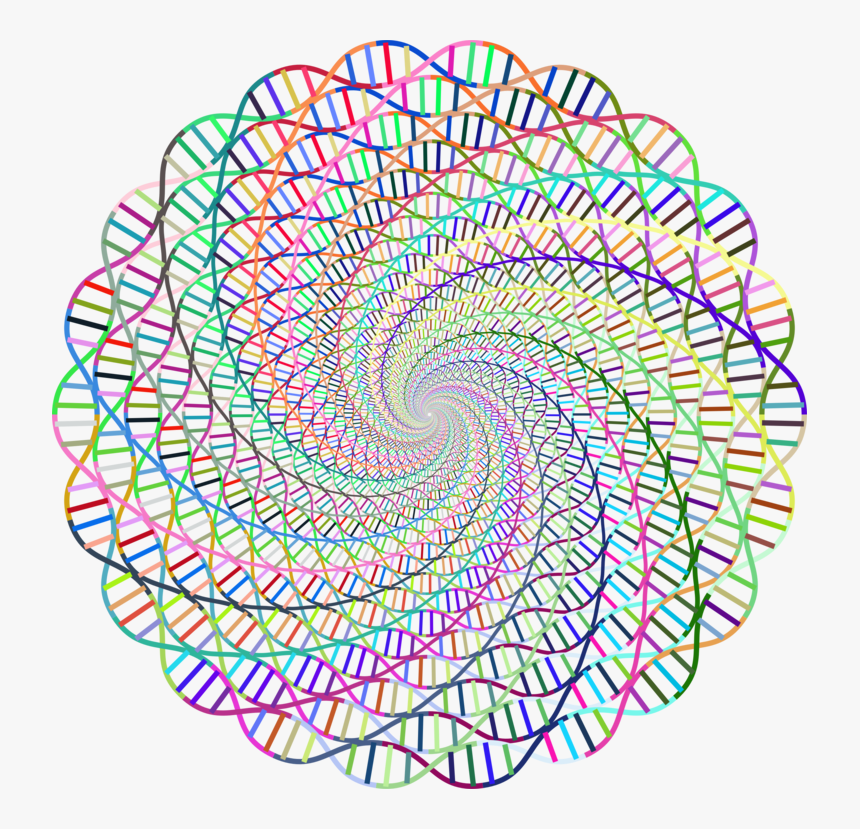 Line,circle,nucleic Acid Double Helix - Deoxyribonucleic Acid, HD Png Download, Free Download