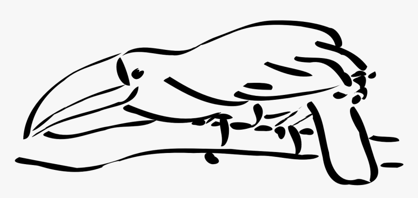 Toucan Outline, HD Png Download, Free Download