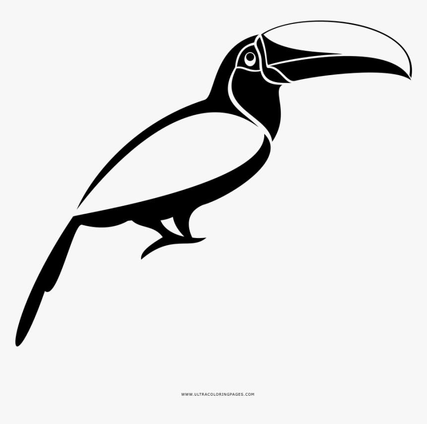 Toucan Coloring Page - Toucan, HD Png Download, Free Download