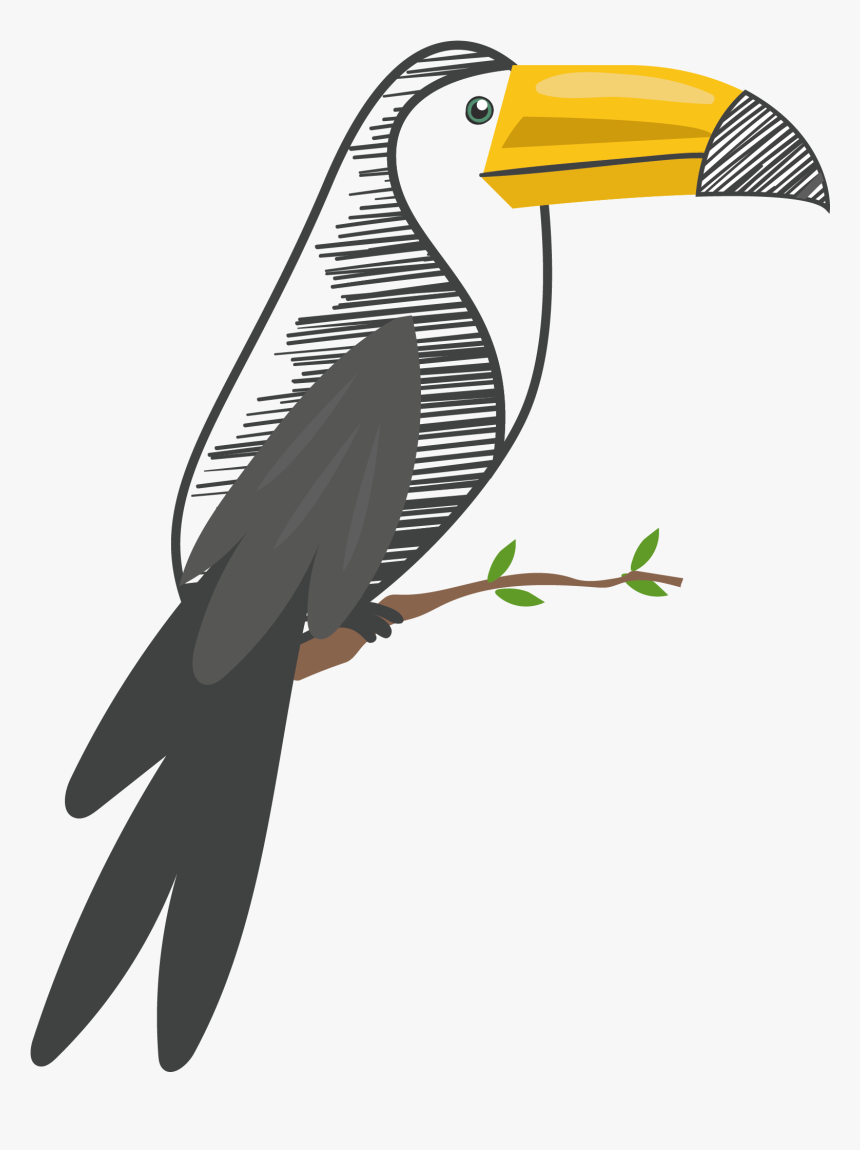 Toucan, HD Png Download, Free Download