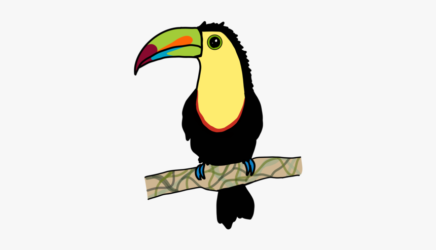 Tucan Png, Transparent Png, Free Download