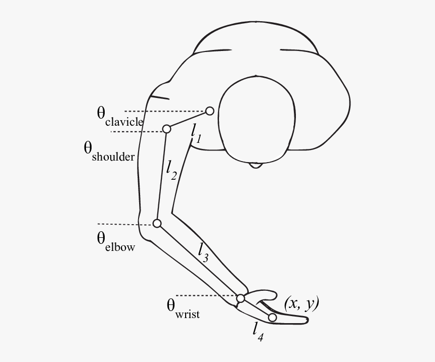 Line Art, HD Png Download, Free Download