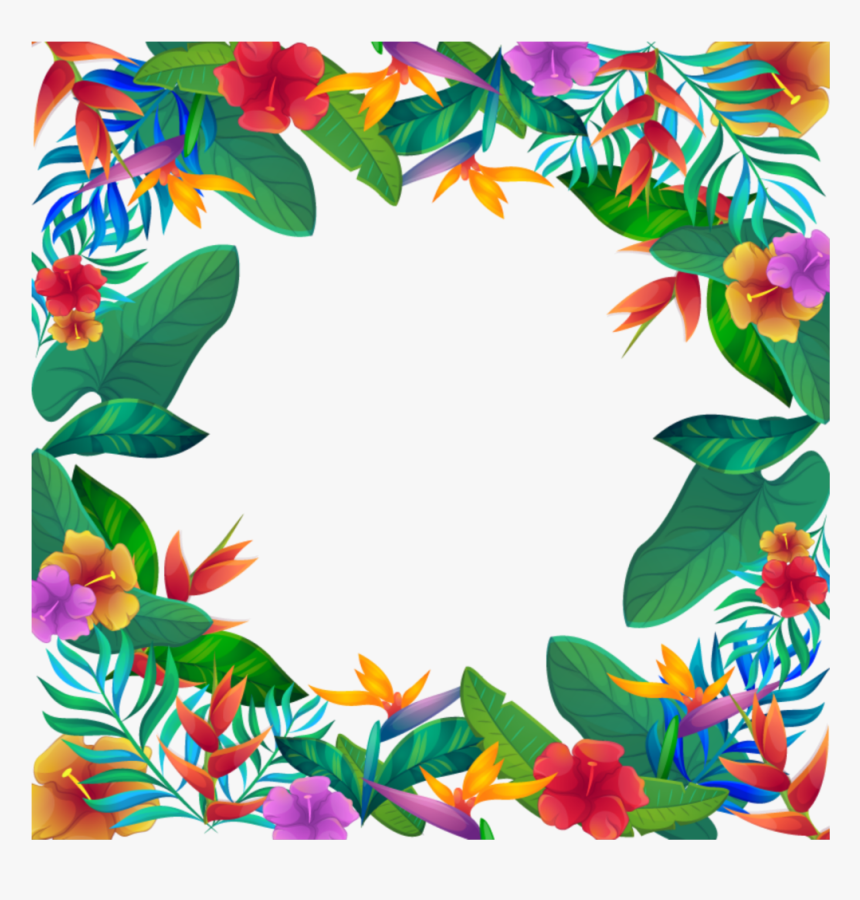#mq #leaf #leaves #tropical #frame #frames #border - Tropical Frames And Borders, HD Png Download, Free Download