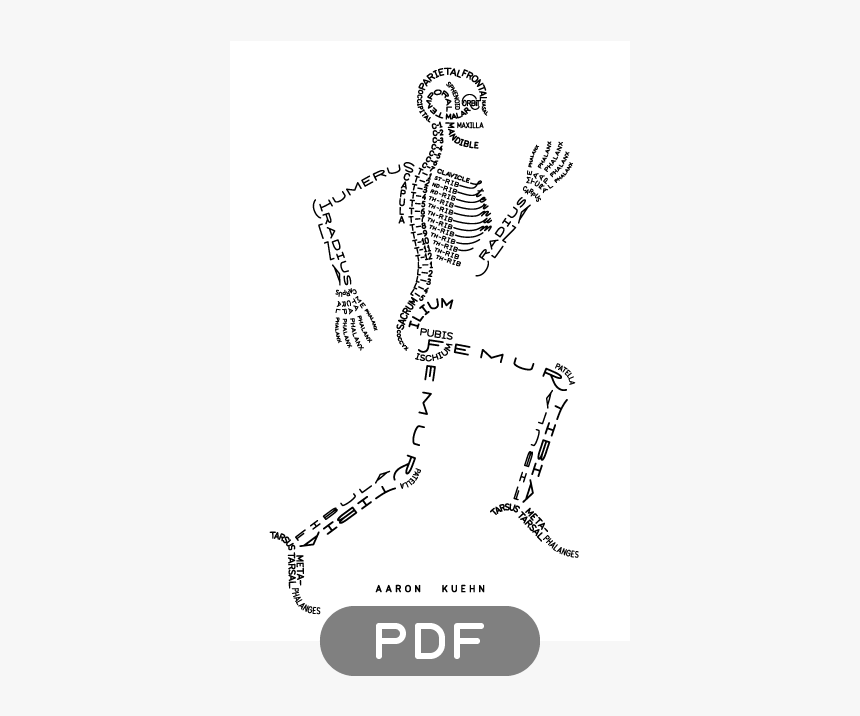 Image Of Skeleton Typogram - Aaron Kuehn Skeleton, HD Png Download, Free Download