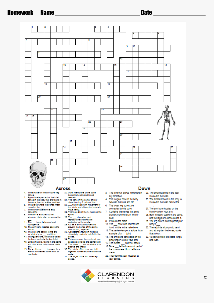 Transparent Skeleton Arm Png - Mice And Men Crossword Chapter 1, Png Download, Free Download