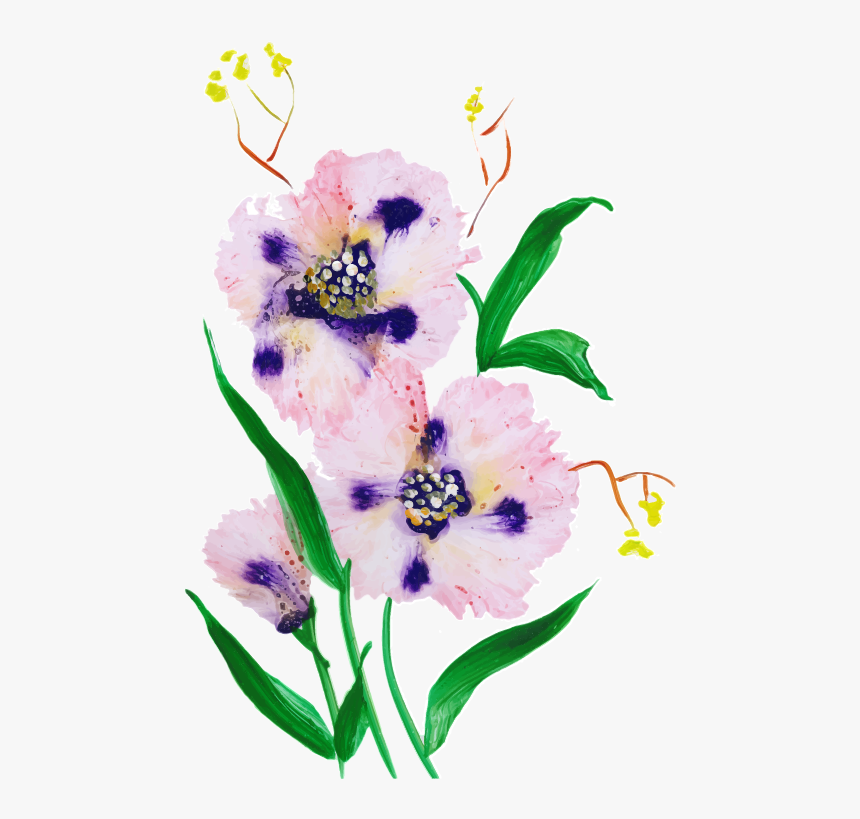 Iris, HD Png Download, Free Download