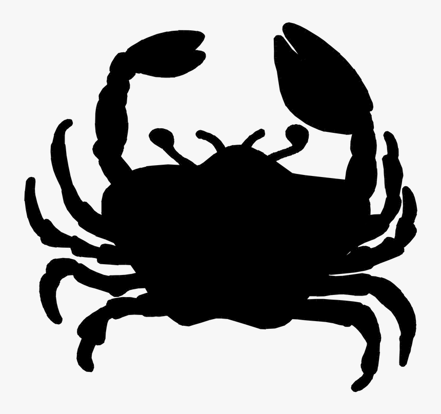 Picture - Freshwater Crab, HD Png Download, Free Download