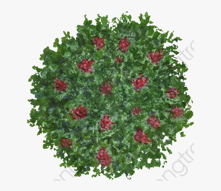 Flowers Red Green Leaves - Tree, HD Png Download, Free Download