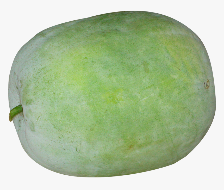 Ash Gourd Png, Transparent Png, Free Download