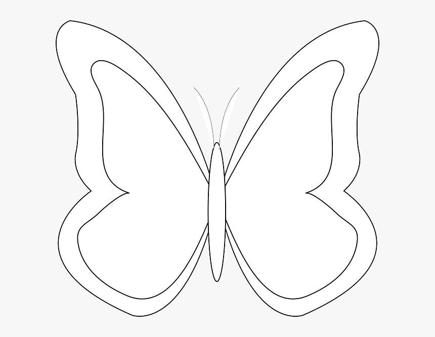 Download Transparent Simple Butterfly Outline Clipart White Butterfly Clip Art Hd Png Download Kindpng