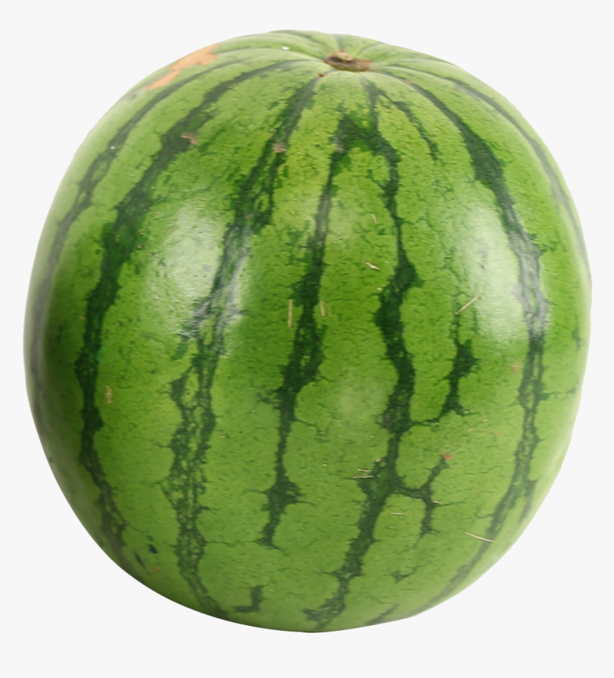 Share This Article - Watermelon Png, Transparent Png, Free Download