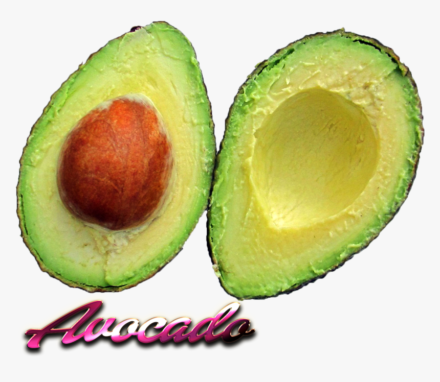 Avocado Png Download - Avokado Png, Transparent Png, Free Download