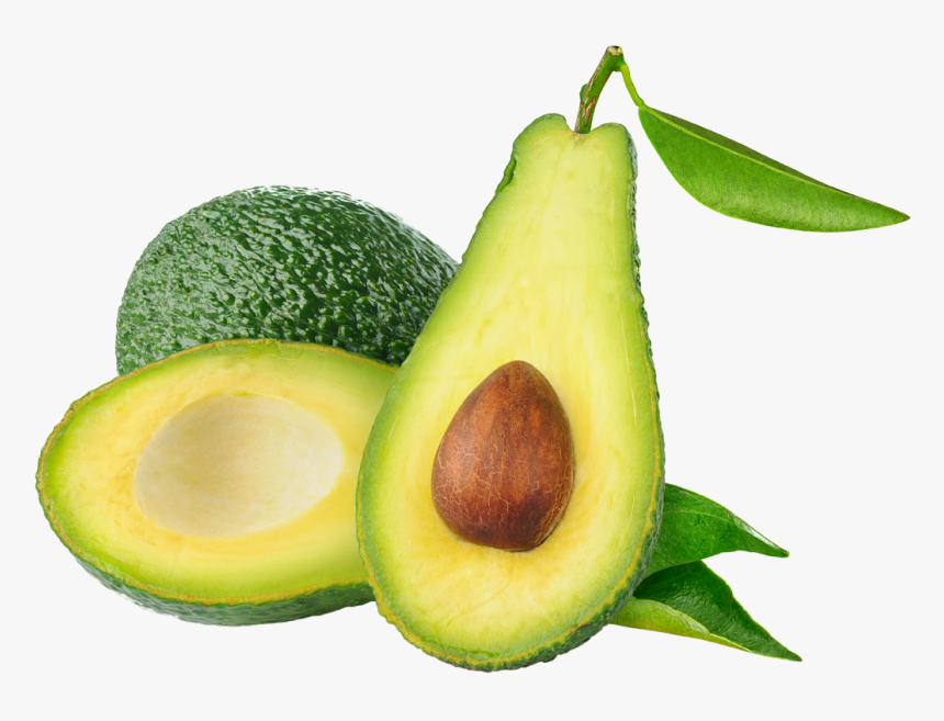 Avocado Png, Transparent Png, Free Download