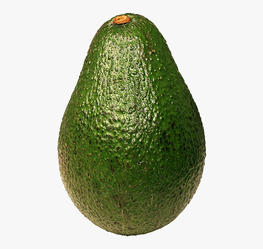 Avocado - Avocado Single, HD Png Download, Free Download