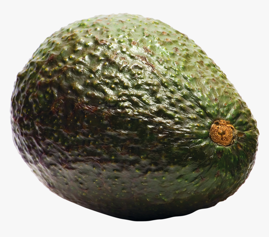 Avocado Png Image Pngpix - Transparent Background Avocado Png, Png Download, Free Download