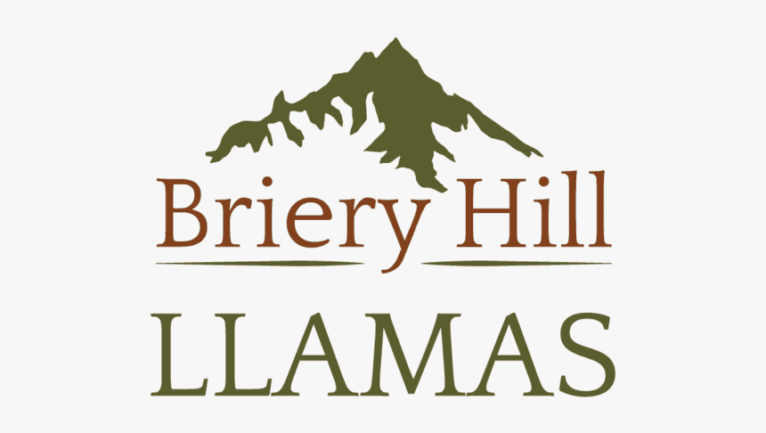 Briery Hill Llamas Logo - Briery Hill Llamas, HD Png Download, Free Download