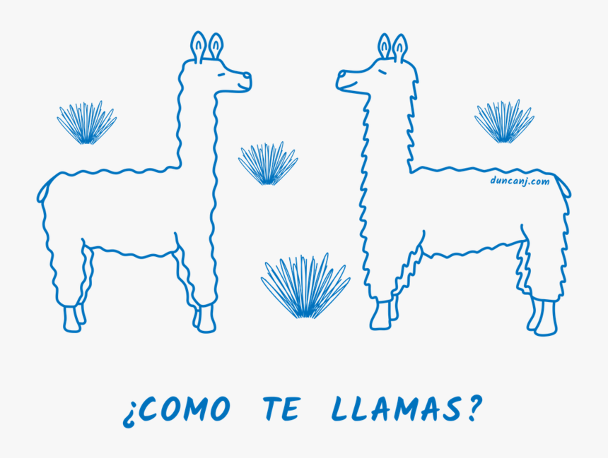 Transparent Llamas Png - Giraffe, Png Download, Free Download