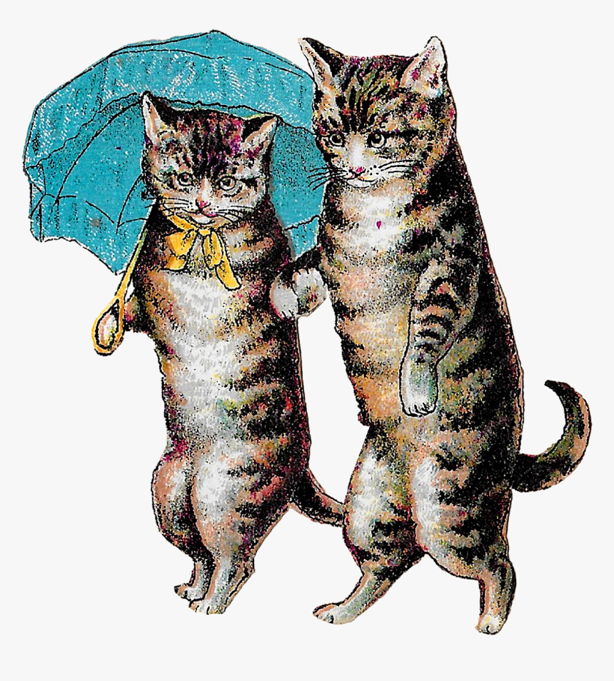 Cats Victorian Illustration Drawing Digital Download - Vintage Cat Illustration, HD Png Download, Free Download