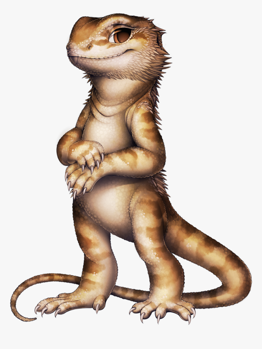 Bearded Dragon Png, Transparent Png, Free Download