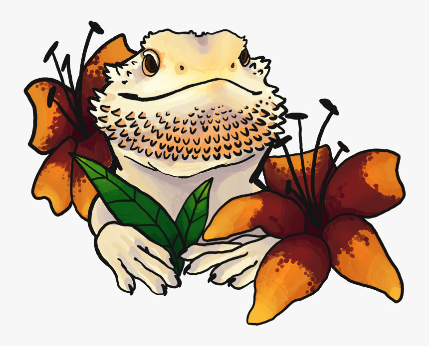 Bearded Dragon Drawing Cute, HD Png Download kindpng
