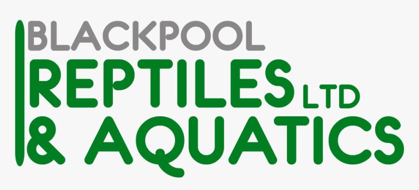 Blackpool Reptiles & Aquatics - Graphic Design, HD Png Download, Free Download