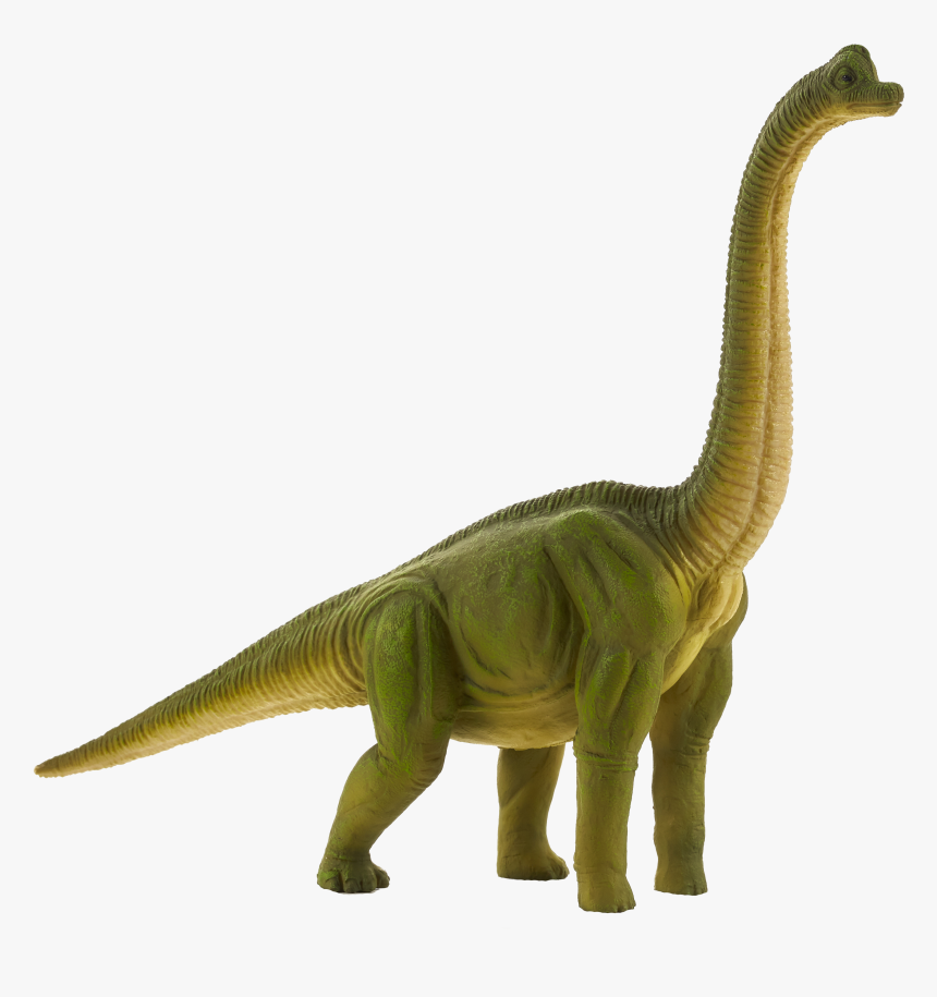 Brachiosaurus Toy , Png Download - Brachiosaurus Toy, Transparent Png, Free Download