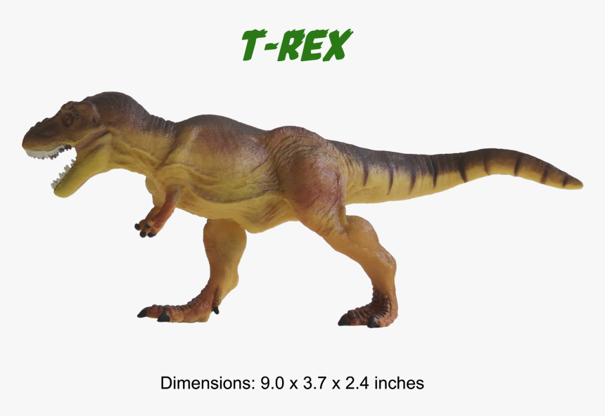 Ankylosaurus Model Triceratops Model T-rex Model Brachiosaurus - Tyrannosaurus, HD Png Download, Free Download