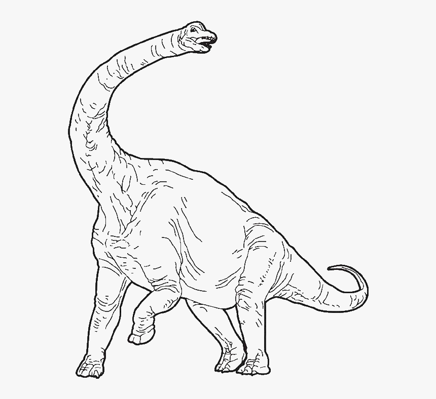 Transparent Brachiosaurus Png Jurassic Park Brachiosaurus Coloring Page Png Download Kindpng