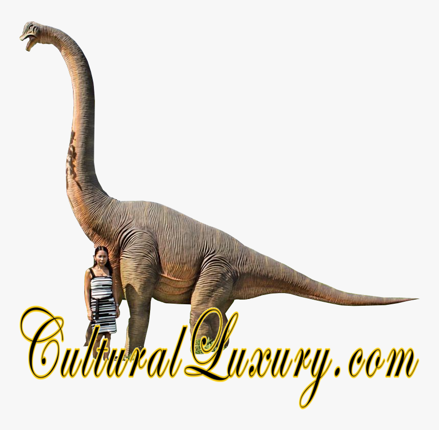 Lesothosaurus, HD Png Download, Free Download