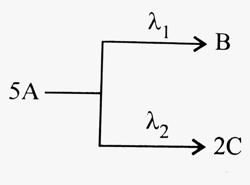 Diagram, HD Png Download, Free Download