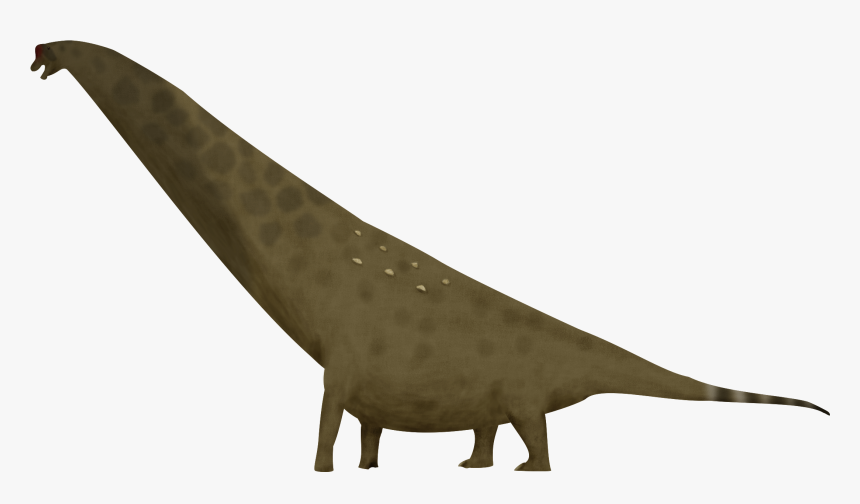 Transparent Brachiosaurus Png - Cryptid, Png Download, Free Download