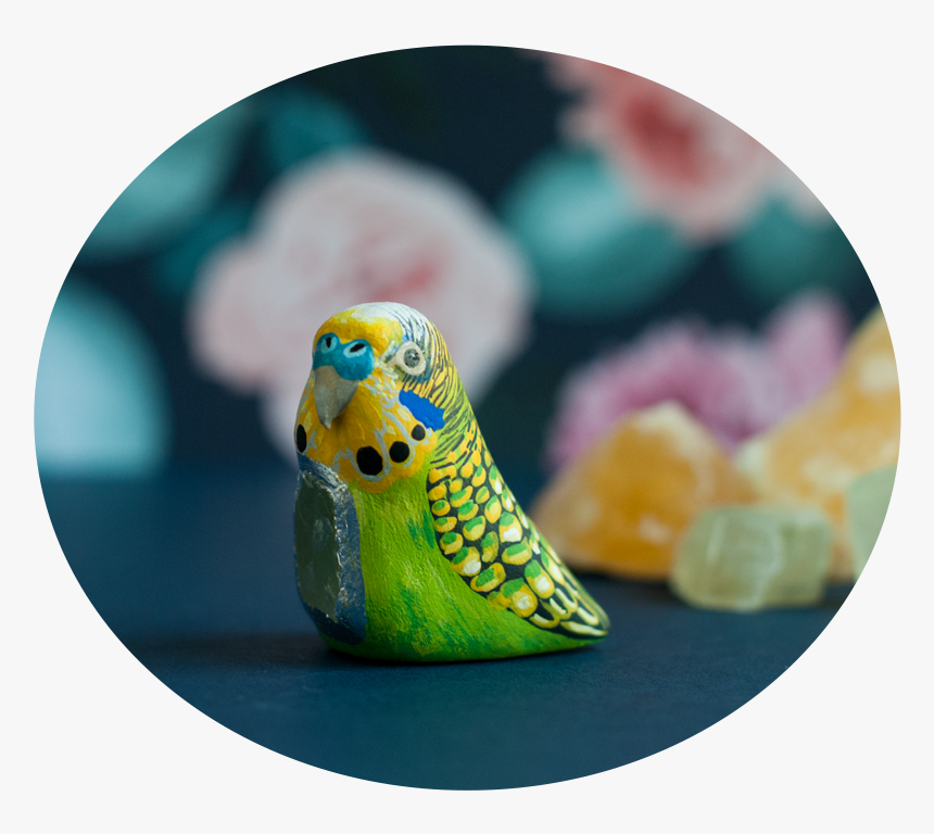 Parakeet Png, Transparent Png, Free Download