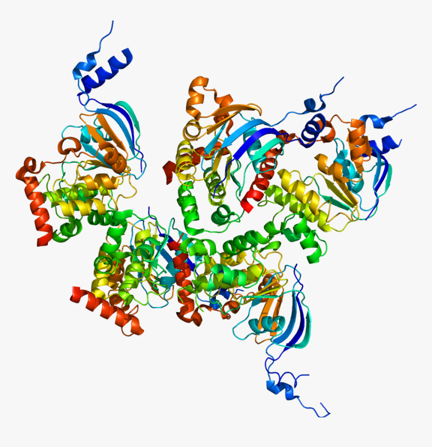 Protein Cftr Pdb 1xmi - Cftr Protein, HD Png Download, Free Download