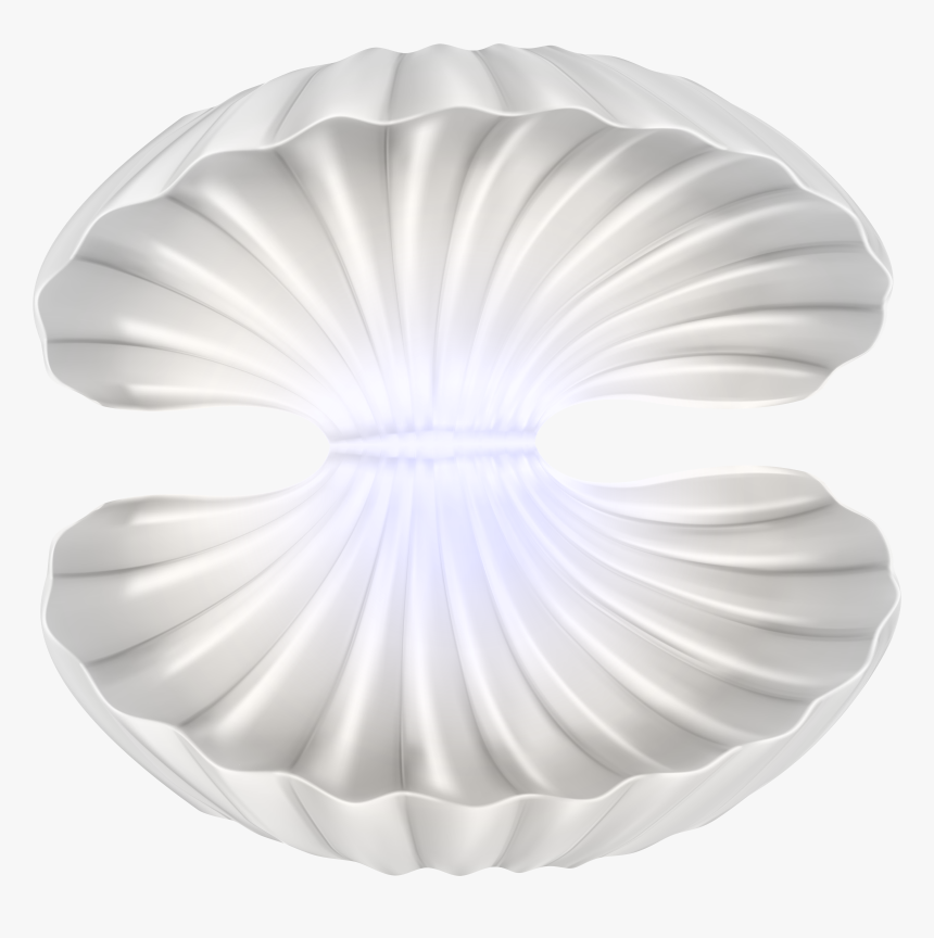 Clam Shell Png - Open Clam Shell Png, Transparent Png, Free Download